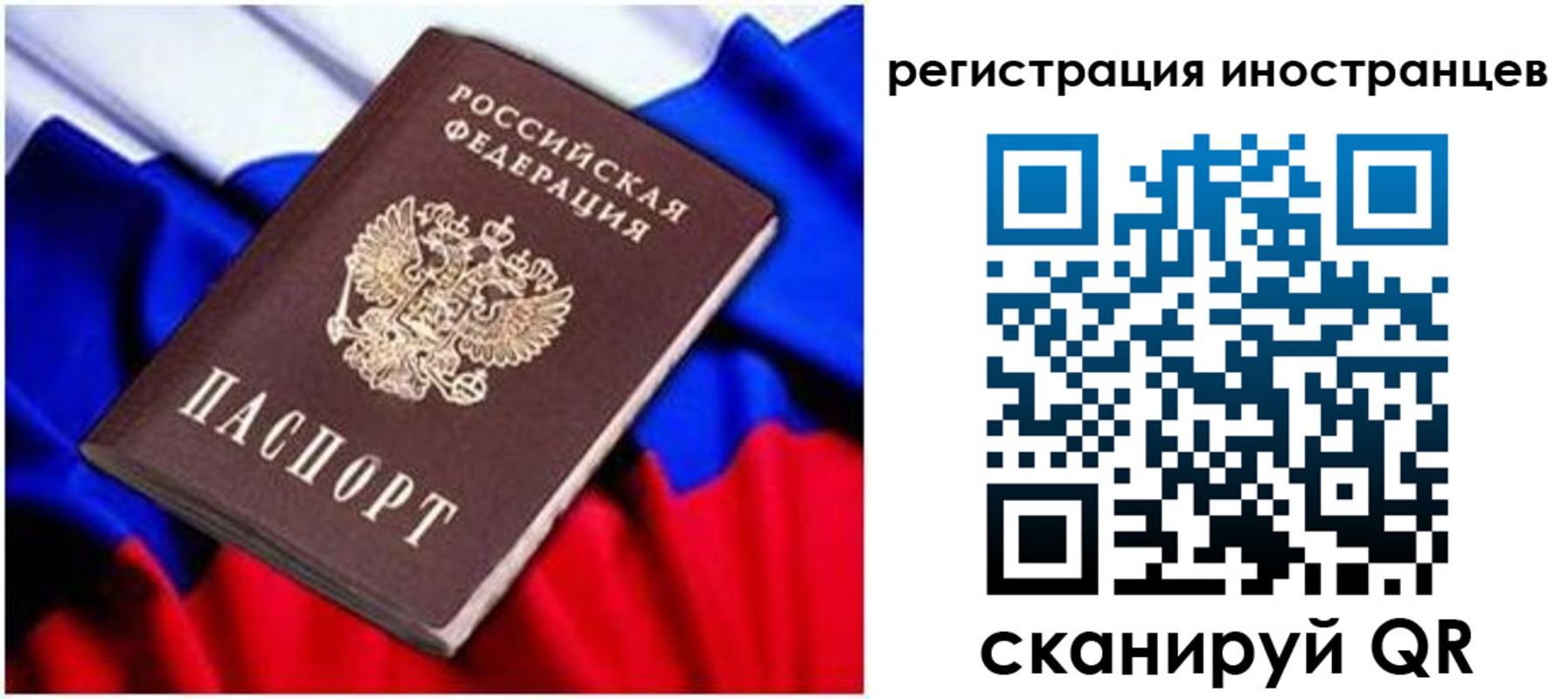прописка для школы в Кингисеппе